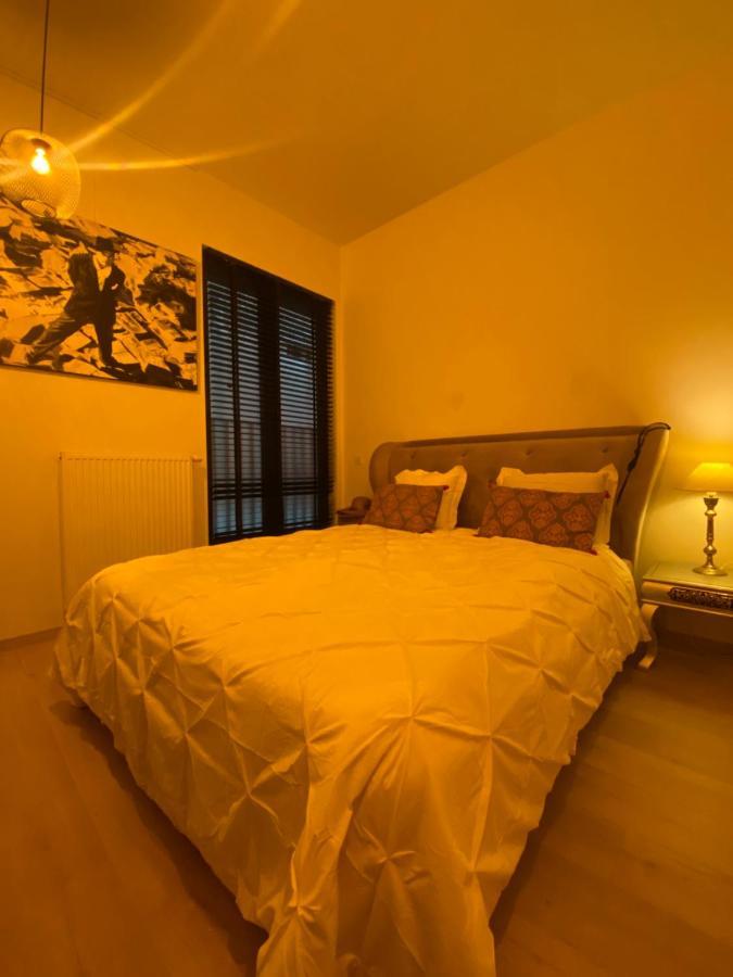 B&B Art And Sleep Anvers Extérieur photo